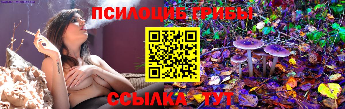 Галлюциногенные грибы GOLDEN TEACHER Волхов