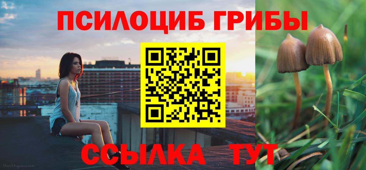 Псилоцибиновые грибы прущие грибы  Вход с VPN  дарнет шоп  Волхов  Галлюциногенные грибы Psilocybine cubensis 